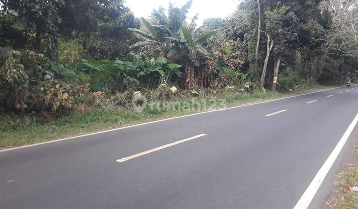 Tanah 2,7 h di jl raya tetey Minahasa Utara gudang dan industri  5