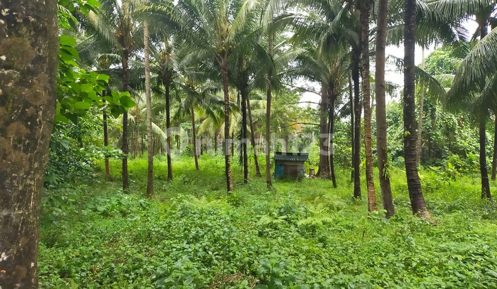 Tanah 1~2h di jl Manado Bitung kaima  industri distributor  3