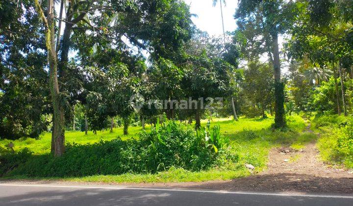 Tanah 1~2h di jl Manado Bitung kaima  industri distributor  6