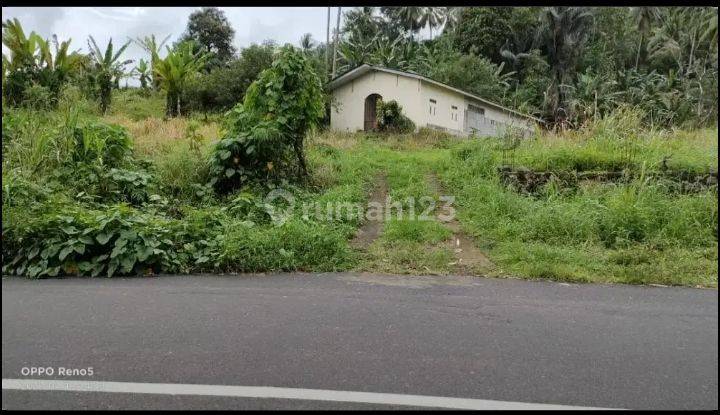Gudang dan tanah 2400m2 di jl Adipura Pandu  1