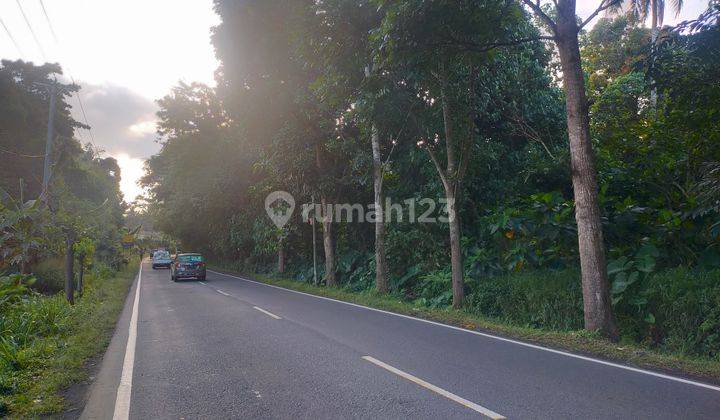 Tanah 9h di Paniki matungkas dekat jl Soekarno 4