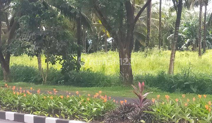 TANAH 2~3 hektar di jl SBY Minahasa Utara cocok buat kantor gudang  5