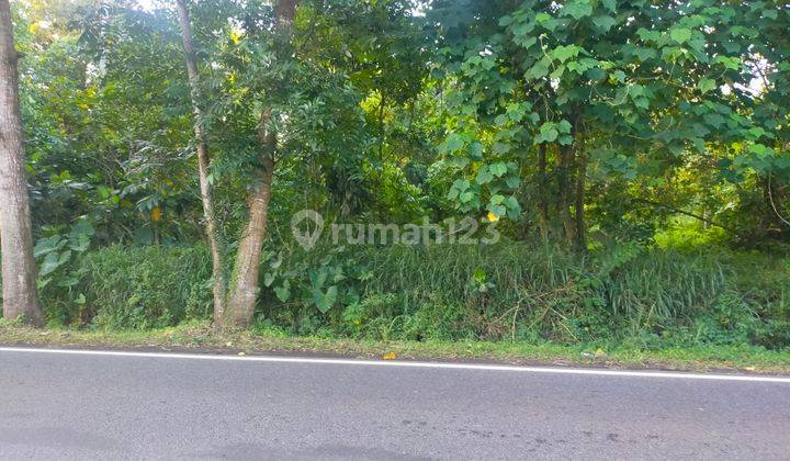 Tanah 2 h di jl Manado Bitung worang by pas buat gudang industri  5