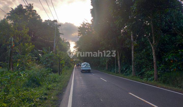 Tanah 2 h di jl Manado Bitung worang by pas buat gudang industri  8