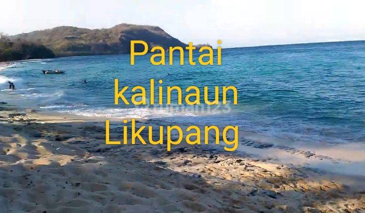 Tanah 3 H Di Kawasan Wisata Pasir Putih Kalinaun Likupang Timur  1