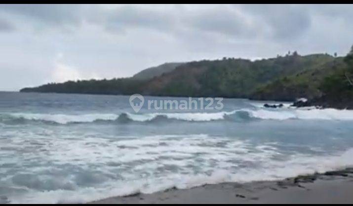 Tanah 3 H Di Kawasan Wisata Pasir Putih Kalinaun Likupang Timur  2