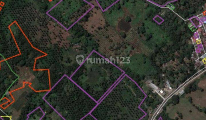 Tanah 23h di jl SBY Minahasa Utara cocok buat gudang distributor  3