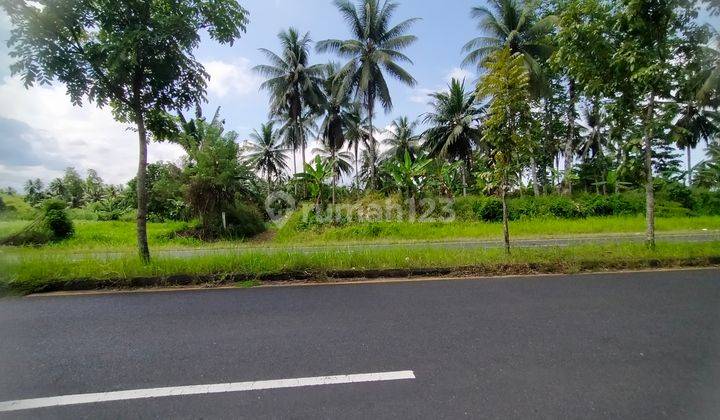 Tanah 23h di jl SBY Minahasa Utara cocok buat gudang distributor  5