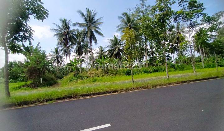 Tanah 11.204m2 samping Lotte mart Ring road 1  6