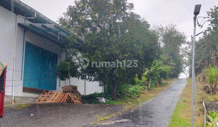 Gudang 552m2 di maumbi disewakan cocok buat distributor  cargo  6