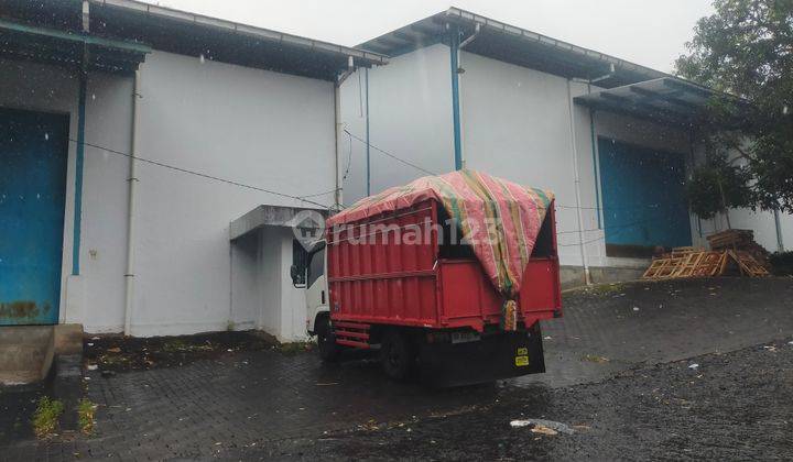 Gudang 552m2 di maumbi disewakan cocok buat distributor  cargo  7