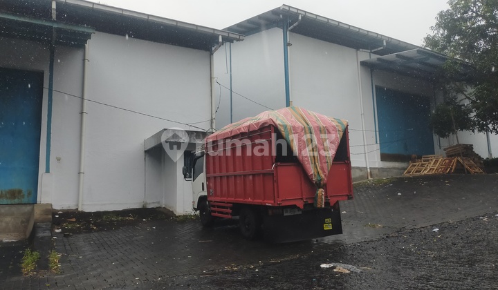 Gudang 1100m2 di maumbi cocok buat distributor ekspedisi cargo   6