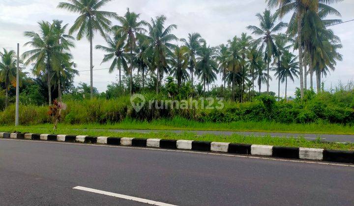 Tanah 5900m2 di jl AA Maramis dekat indogrosir  3