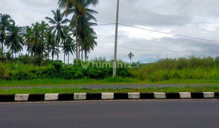 Tanah 5900m2 di jl AA Maramis dekat indogrosir  4