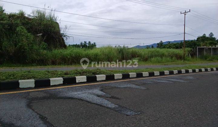 Tanah 2319m2 samping universal Islam ring road 1  4