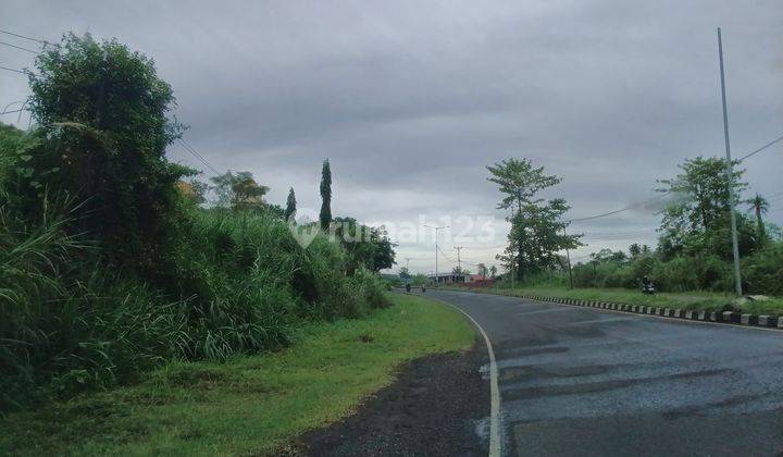 Tanah 2319m2 samping universal Islam ring road 1  5