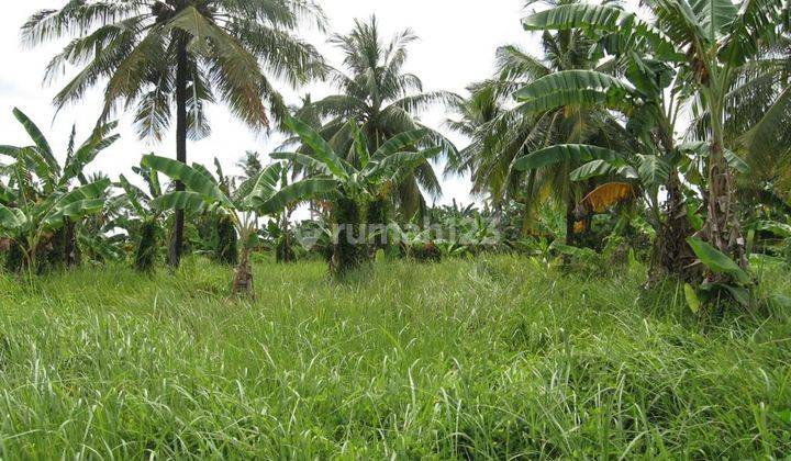 Tanah di kairagi dekat citra land harga miring  2