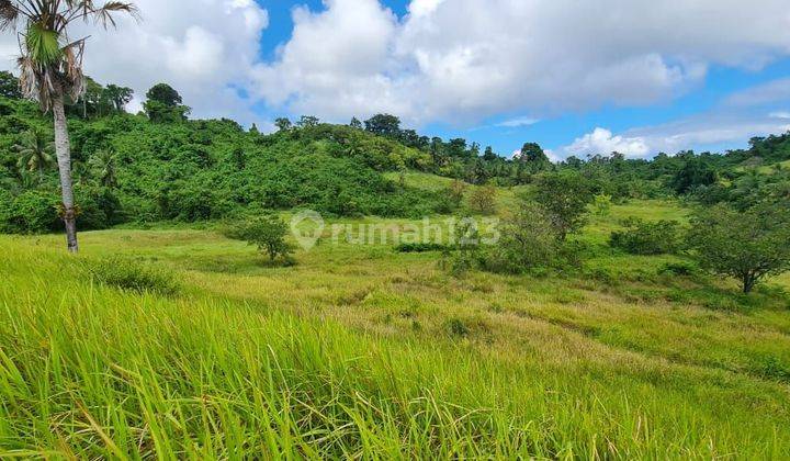 Tanah 558m2 di jl di Ring road 1 cocok buat kantor dan usaha  2