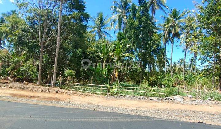 Tanah 14.600m2 di ring road 3 kalasey cocok buat investasi  1