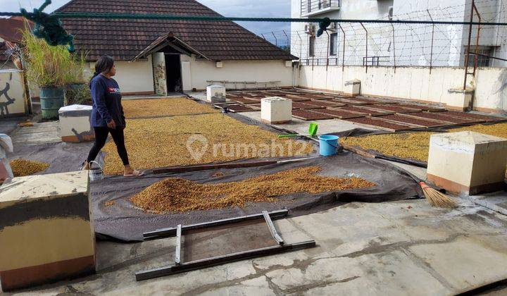 Tanah 8,3h isi kebun cengkih aktif di desa munte Amurang  2