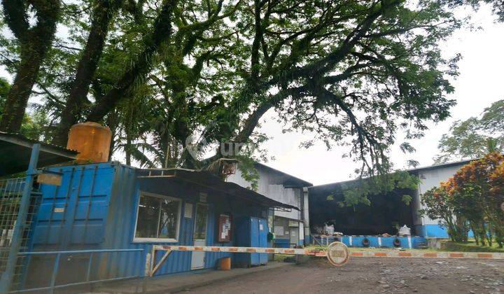 Gudang 1000~2000m2 Di Jl Manado Bitung Lembean Pas Buat Ekpedisi 2