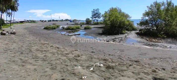 Tanah 23 H Di Tombariri Pinggir Pantai Pas Buat Pelabuhan Area  2