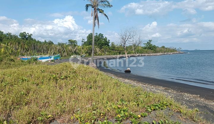 Pelabuhan Luas 2~5 H di Kema Cocok Buat Ekpotir dan Importir