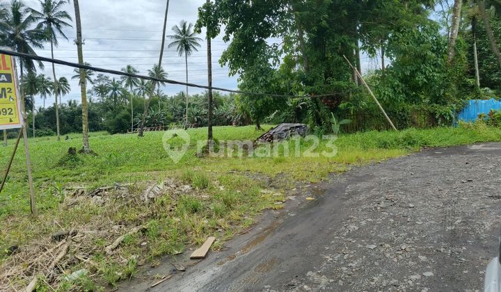 Tanah 6,3h Di Paniki Dekat Bandar Dam Tranmart Cocok Buat Usaha Tanah 6,3h Di Paniki Dekat Bandar Dam Tranmart Cocok Buat Usaha