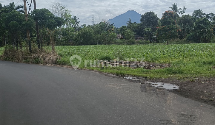 Tanah 1,1 H Di Dekat Jl Sukarno Cocok Buat Gudang Dan Kantor