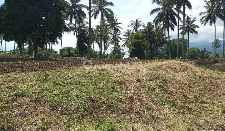 Tanah 1~4 Hektar Di Airmadidi Cocok Buat Gudang Dan Industri 2