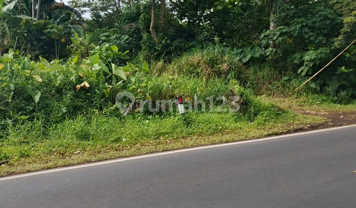 Tanah 5000~8000m2 Jl Raya Manado Bitung Dekat Pintu Tol Kauditan