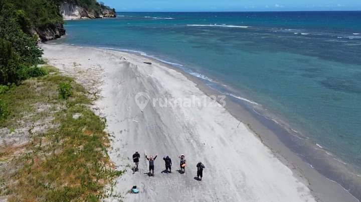 Tanah 10h Di Pantai Rumbai Minahasa Cocok Buat Area Wisata  2