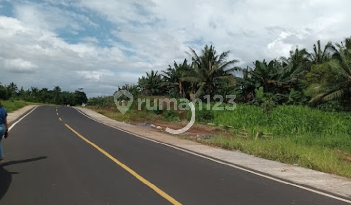Land 25h ~ 50h Ring Road 3 Kalasey For Real Estate Investment