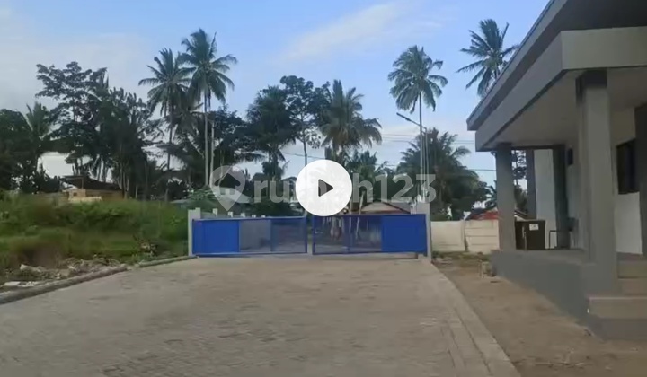 Fish Factory Near Special Economic Zone Attractive Price