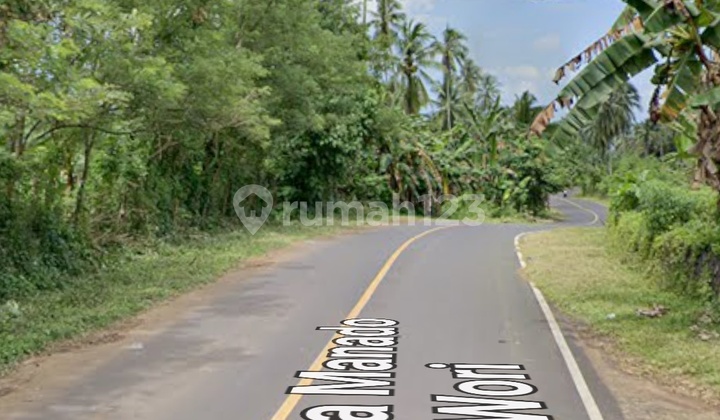 Tanah 5~6 H Di Samping Kampus Stain /iain Wori Harga Miring 2