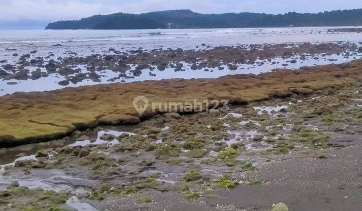 Tanah 38h Pinggir Pantai Likupang Timur ,buat Area Wisata Pantai 2