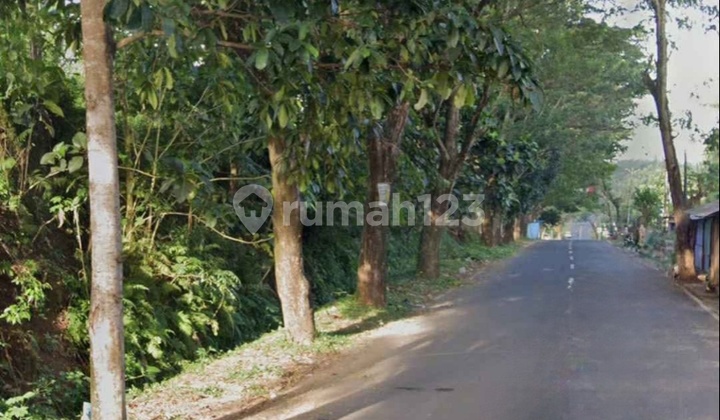 Tanah 7000m2 Di Perempatan Pandu Cocok Buat Ruko Dan Investasi Tanah 7000m2 Di Perempatan Pandu Cocok Buat Ruko Dan Investasi