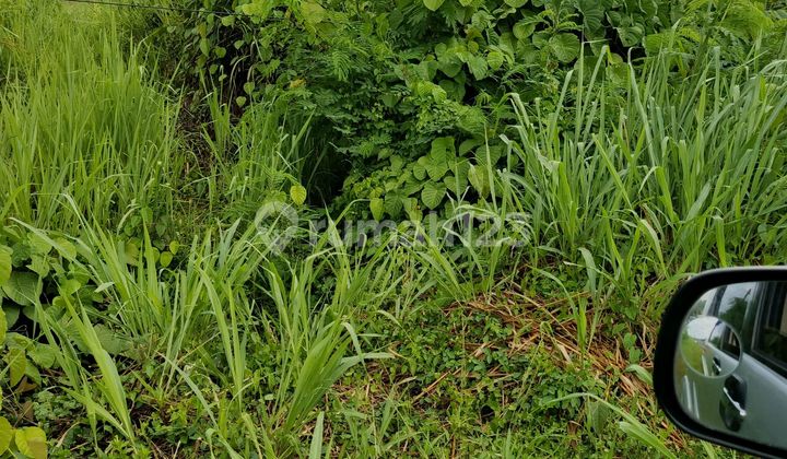 Tanah 10 H Harga 100ribu Dekat Pengadilan Terpadu Jl Adipura Tanah 10 H Harga 100ribu Dekat Pengadilan Terpadu Jl Adipura