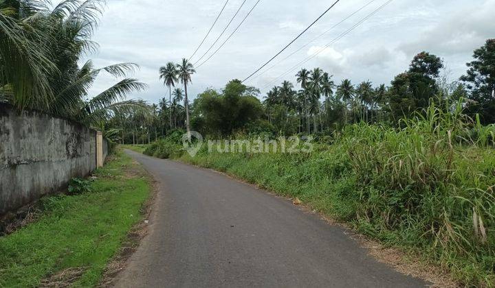 Tanah 3100m2 Jl Konsolidasi Dekat Griya Maleosan Pas Buat Rumah  2