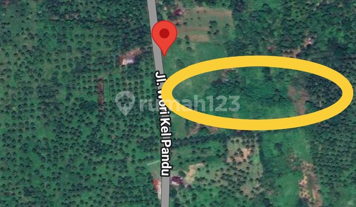 Tanah 6~18hektar Jl Adipura Dekat Petempatan Pandu Harga Miring Tanah 6~18hektar Jl Adipura Dekat Petempatan Pandu Harga Miring