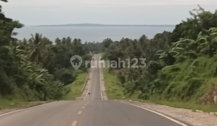 Land 25h ~ 50h Ring Road 3 Kalasey For Real Estate Investment