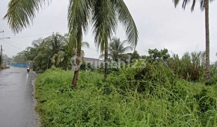 Land 1100m2 near Sukarno Street, suitable for warehouse and office.