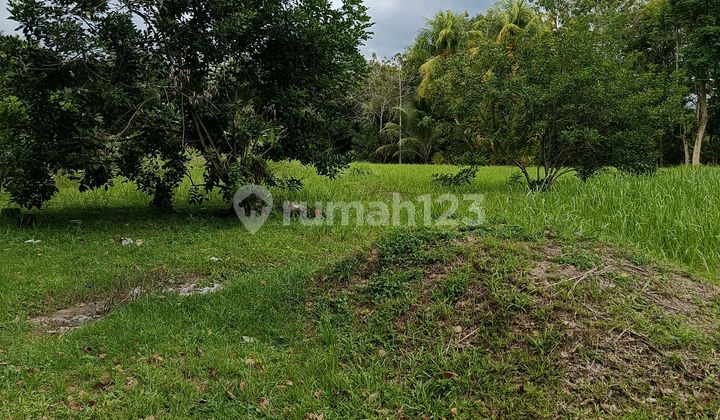 Tanah 9485m2 Dekat Kantor Dprd Kota Manado Dan Perum Gpi Tanah 9485m2 Dekat Kantor Dprd Kota Manado Dan Perum Gpi