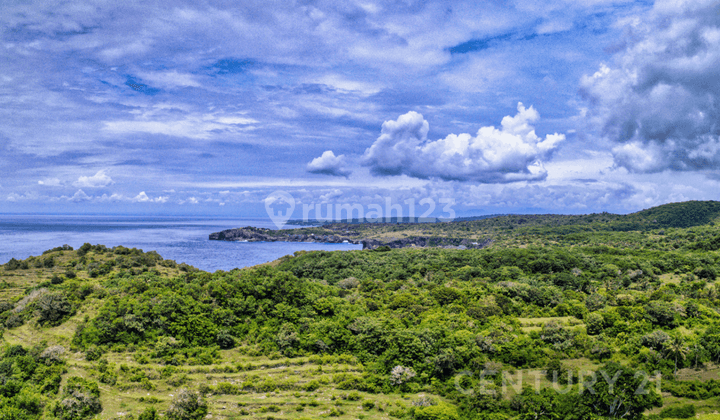 Tanah Cocok Untuk Usaha Di Nusa Penida PS0207 2