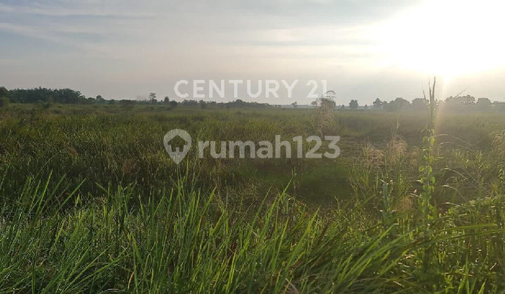 Strategic Land Location by Indralaya Roadside in Ogan Ilir S9297