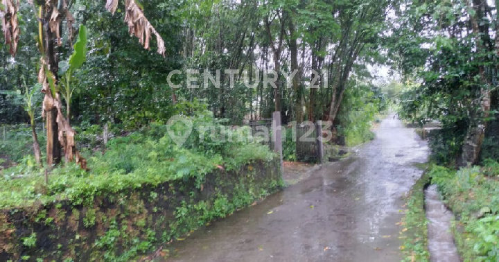 Tanah Utk Usaha Pariwisata di Palem Sleman Yogyakarta S9559