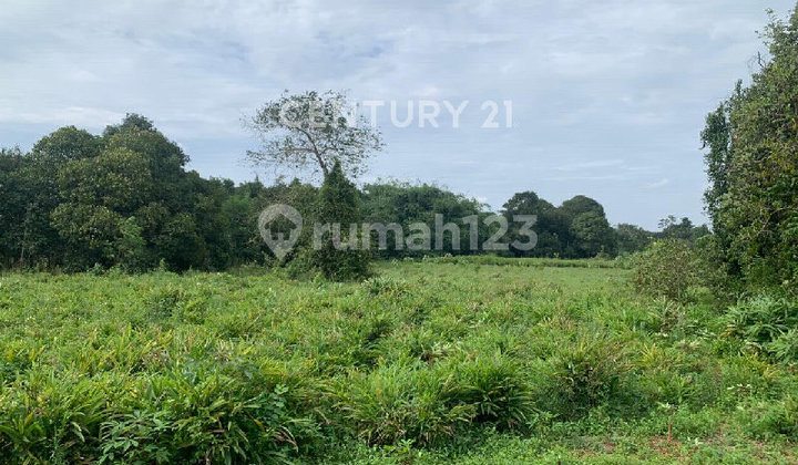 Land Area Harvest City at Market Price Cijeran Barat S9538