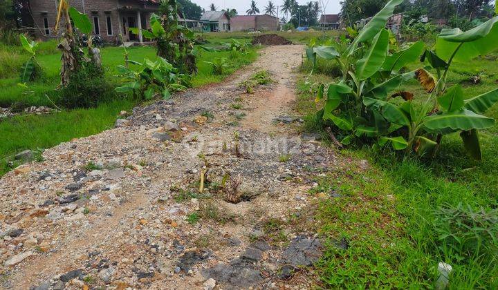 Jual Tanah Murah di Jln Fajar Baru Untung Suropati, Lampung Selatan 430 m² Harga 190jt 3