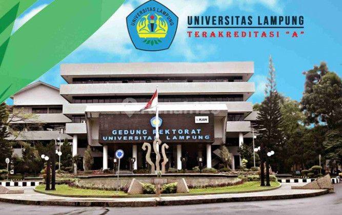 Jual Tanah Murah di Jln Fajar Baru Untung Suropati, Lampung Selatan 430 m² Harga 190jt 6