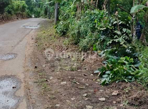 Quick Sale Plot + Villa on Jl Cirendeu - Cigudeg, West Bogor.